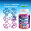 Calcium Supplement Gummies - Sugar Free Calcium Gummy with 400