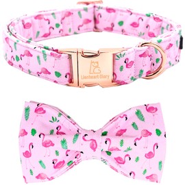 Lionheart Glory Dog Bow Collar - Valentine's Day Collar with Bowtie for Small Dogs, Pink