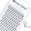Ready-to-Use Fan Eyelashes, 14D Volume Eyelashes, Ready-to-Use Eyelash Fans, Volume