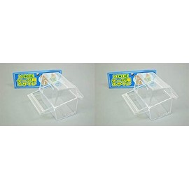HOEI Food Container with Lid / Water Container (D Cup) x 2