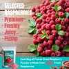 Premium Freeze Dried Raspberry Powder 5.29oz (150g),No Added Sugar |