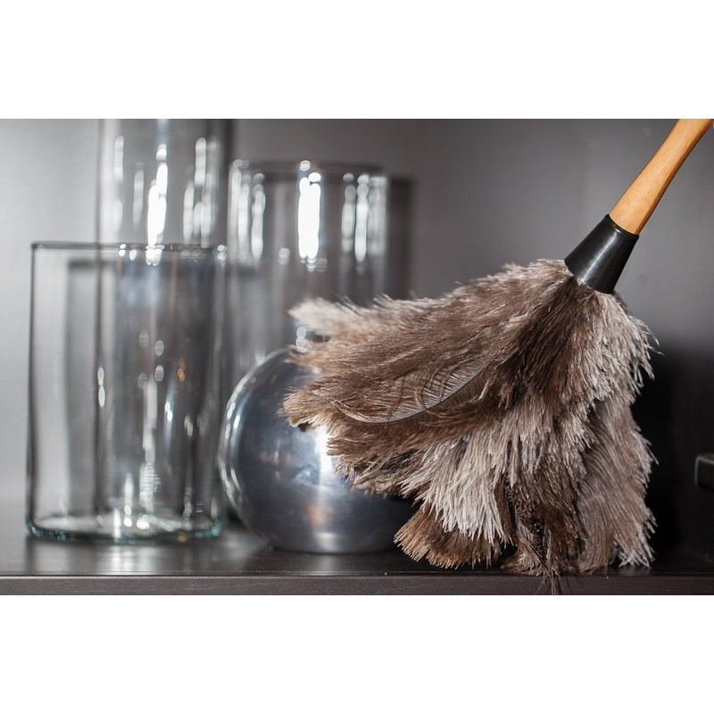 Avian Ostrich Feather Duster with Bamboo Handle