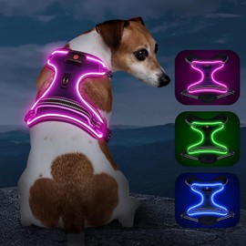 Vizbrite Light Up Dog Harness, No Pull LED Dog Harness with Handle, Rechargeable Lighted Safety Vest for Small Medium Large Dogs, Adjustable Soft Dog Lights for Night Walking