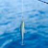 Sinking Pencil Fish Lure Hard Bait 3D Eyes with Hook