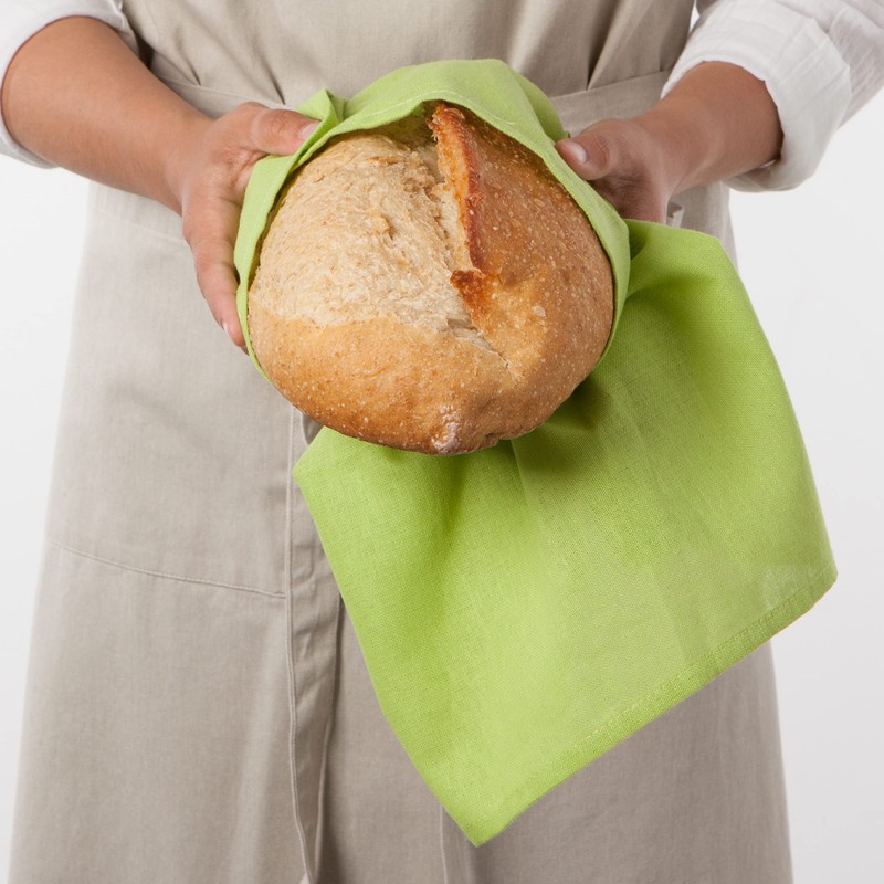 Now Designs Floursack Kitchen Dish Towels,Cotton, Chartreuse/Turquoise/Leaf 20 x 30in,