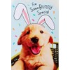 For Somebunny Special - Cute Happy Easter Greeting Card with