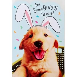 For Somebunny Special - Cute Happy Easter Greeting Card with Bunny Rabbit Golden Retriever Labrador Dog