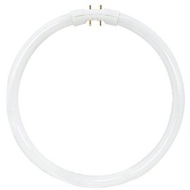 Satco S8160 4100K 40-Watt 2GX13 T5 Circline High Performance Lamp, Cool White