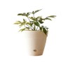 Northcote Pottery Leonard Self-Watering Pot, 20 x 18 cm Size,
