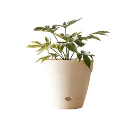 Northcote Pottery Leonard Self-Watering Pot, 20 x 18 cm Size, White