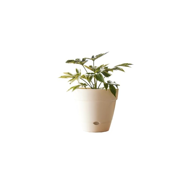 Northcote Pottery Leonard Self-Watering Pot, 20 x 18 cm Size,