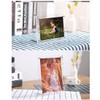 Wall Hanging Desktop Vertical Horizontal Acrylic Photo Frame Picture Frame