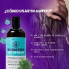 Filip Natural - Shampoo Thuja Y Árnica, Fortalece, 500ml