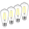 Ascher Vintage LED Edison Bulbs, 6W, Equivalent 60W, Non-Dimmable, Daylight