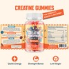 Fruvitanova Creatine Monohydrate Gummies - 5000mg per Serving, Fruit Flavor