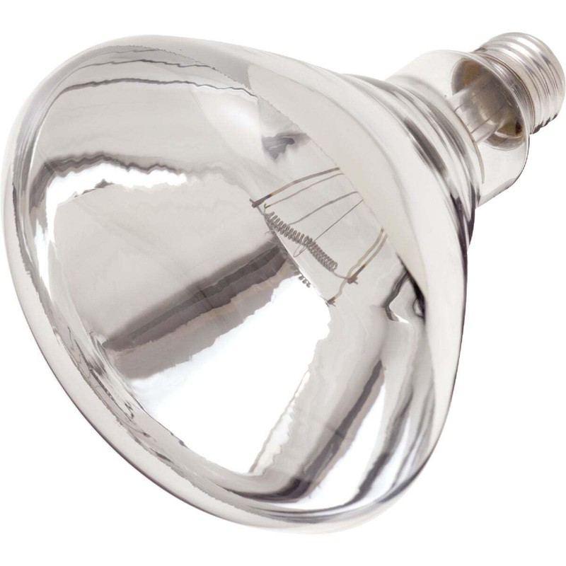 Satco S4999 Medium Light Bulb in Bronze/Dark Finish, 6.50 inches,