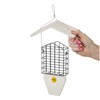 Birds Choice GSTP Green Solutions Suet Feeder