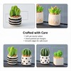 Mini Plants for Car Dashboard Decor, 4-Pack