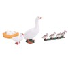 4 Stage Growth Cycle Model Animal Duck Life Cycle Children