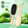 BESTOOL Hair Brush,Bamboo Handle Boar Bristle Hair Brush with Air