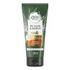 Acondicionador Herbal Essences Bio Renew Aloe Mango 250ml