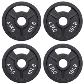 Fitvids Olympic Cast Iron 2-Inch Weight Plate for Strength Training & Weightlifting, Multiple Weights Available, 10LB (Set of 4)