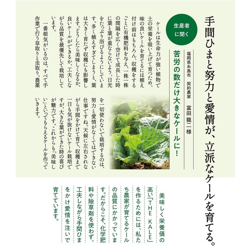 kyu-sai Blue Juice 30 Bao (Type) 4 Box Bulk/Made in Japan Kale