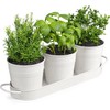 MoFarbe Herb Pots for Kitchen & Windowsill | Kitchen Herb