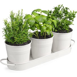 MoFarbe Herb Pots for Kitchen & Windowsill | Kitchen Herb Garden | Indoor Herb Planter | Includes Drainage Hole | Flower Pots Garden Pots for Basil, Mint, Parsley and More (White)
