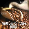 Coffee Beans, Freshly Roasted Chocolat Peaberry, Brazil Galactic Coffee (5.3