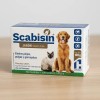 Kit Scabisin Jabón 100 Gr Y Shampoo 250 Ml