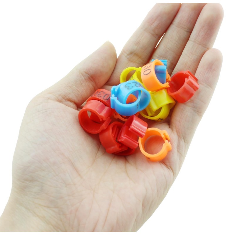 Pack of 100 Poultry Foot Rings, Chicken Identification Legs Rings