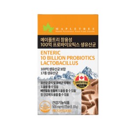 Maple Tree Enteric Coated 10 Billion Probiotics Live Lactobacillus 60 Tablets 1 Box 2 Months / 메이플트리 장용성 100억 프로바이오틱스 생유산균 60정 1박스 2개월
