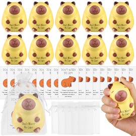 24 Pcs Capybara Squeeze Toys Sensory Capybara Stress Toys with Be Capy Positive Cards Organza Bags Inspirational Teacher Employee Appreciation Gifts Animal Squeeze Toys Bulk for Children Adults