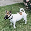 YAODHAOD Nylon Mesh Breathable Dog Mouth Cover, Quick Fit Dog