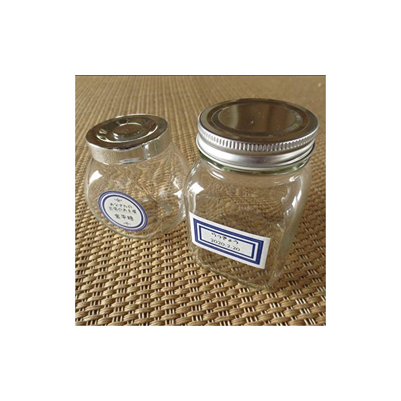 Washi Ishikawa Masking Washi Label