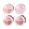 Daisy Q 멀티 쿼드 섀도우 Multi Quad Shadow