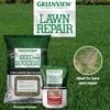 Greenview Fairway Formula Seeding Success (18 lb.) Fertilizer