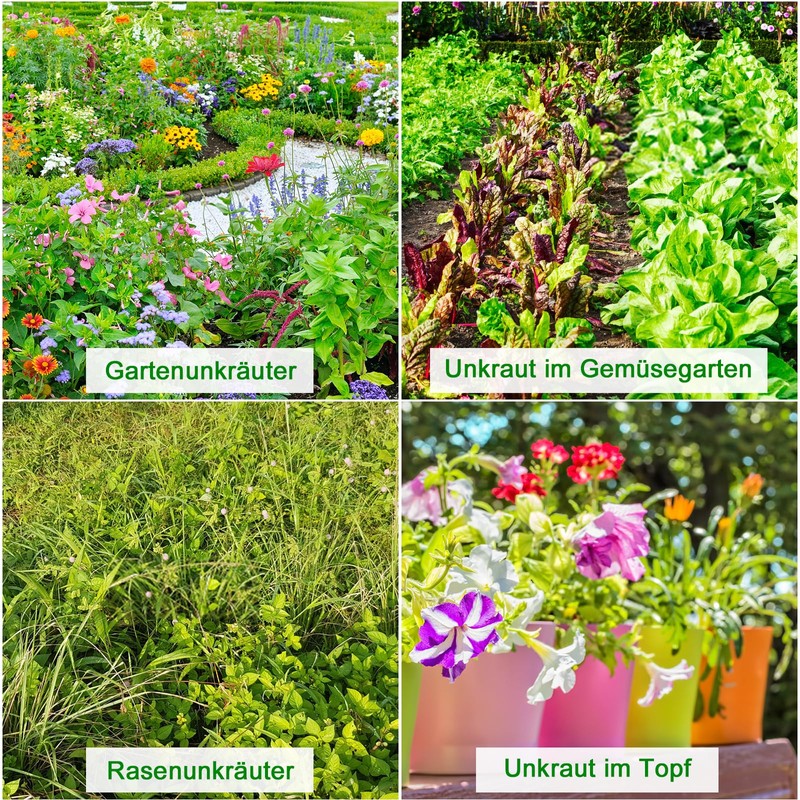 Funtery Removable Weed Removal Tool, No Bending, Durable Weed Cutter,