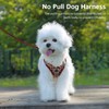 Gyuzh Dog Harness and Leash Set,Soft Mesh Breathable Small Dog