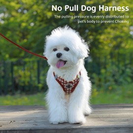 Gyuzh Dog Harness and Leash Set,Soft Mesh Breathable Small Dog Harness,Reflective Adjustable Puppy Harness,No Pull Pet Harness for Small Dogs and Cats