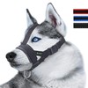 Head Strap Dog Muzzle Prevent from Taking Off by Paws
