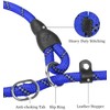 TagME Slip Leads for Dogs, 6 FT Heavy Duty Dog