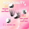 Lash Clusters 50D Eyelash Clusters 3D Effect Lashes Clusters D