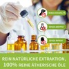 MISIJI ätherische öle Set für Diffusor Pure Natural Aromatherapy 6
