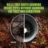 Green Gobbler, FOAMING Root Killer | Kills Tree Roots in