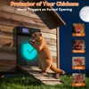 Automatic Chicken Coop Door Large Size, 7W Solar Powered with