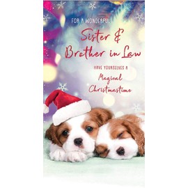 Piccadilly Greetings Piccadilly Greetings Cute (Photo) Christmas Card Sister & Brother in Law,purple|red|pink|beige,9 x 5 inches