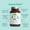 Pure Synergy Enzyme Power Digestive & Gut Health 90 Capsules