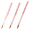 Lotsdonxia 3 Pcs Professional Nail Brush Set – Durable and